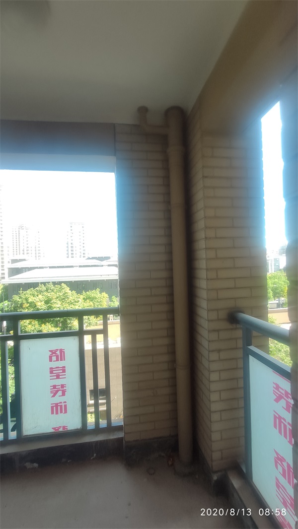IMG_20200813_085841.jpg