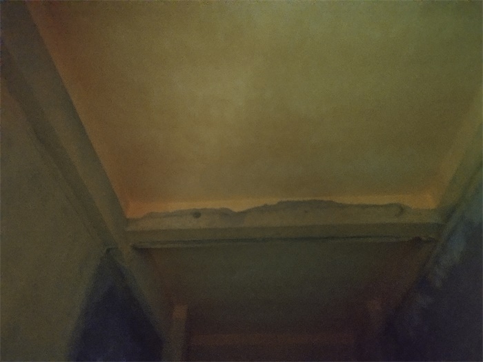 IMG_20200813_101946.jpg