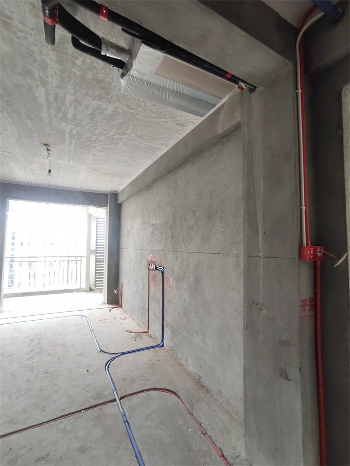 IMG_20200806_133905.jpg