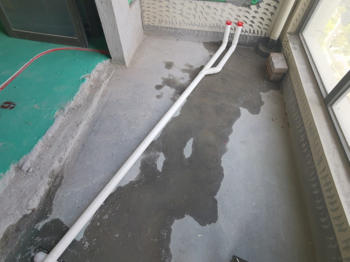 IMG_20200816_150832.jpg