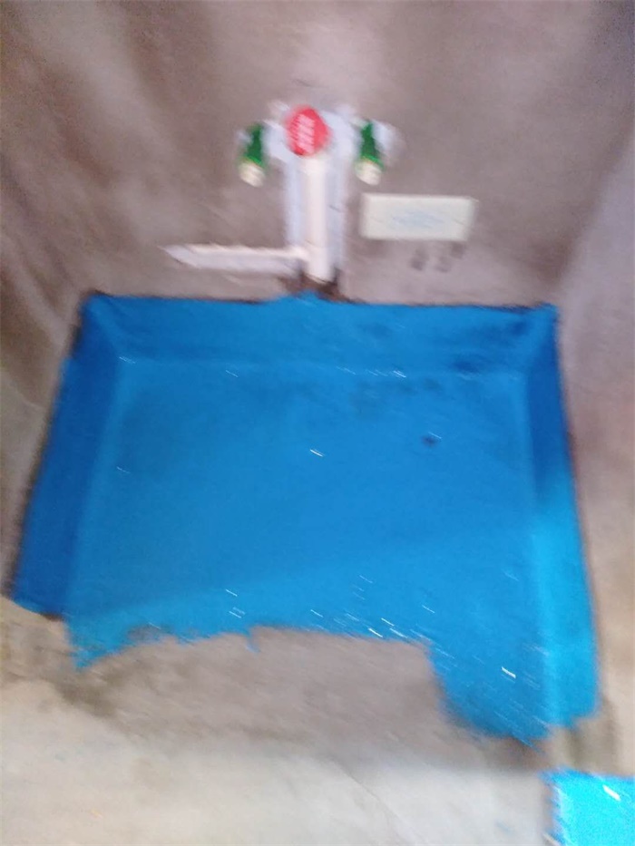 mmexport1598411328930.jpg