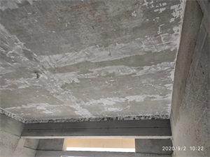 IMG_20200902_102218.jpg