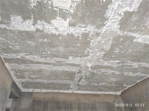 IMG_20200902_102238.jpg