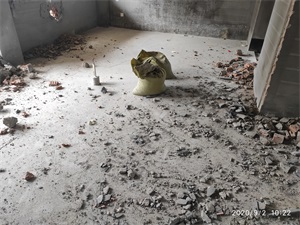 IMG_20200902_102252.jpg