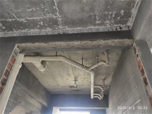 IMG_20200902_102337.jpg
