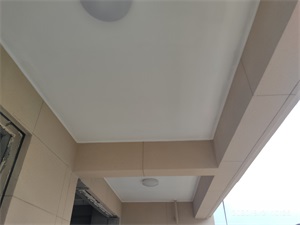 IMG_20200902_102517.jpg