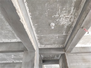 IMG_20200902_102546.jpg