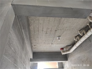 IMG_20200902_102602.jpg