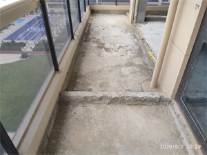 IMG_20200902_102931.jpg