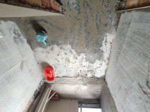 IMG_20200911_140115.jpg