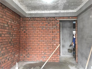 IMG_20200911_140213.jpg