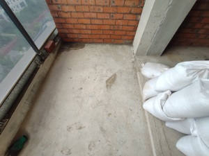 IMG_20200911_140228.jpg