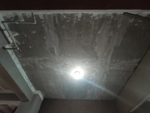 IMG_20200911_141047.jpg