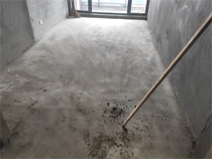IMG_20200911_141300.jpg