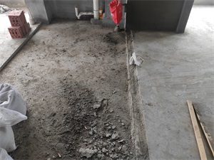 IMG_20200911_141510.jpg