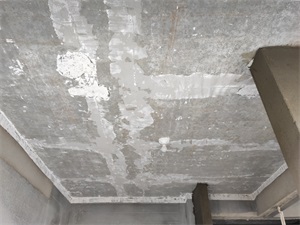 IMG_20200911_141539.jpg