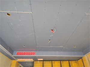IMG_20200911_135548.jpg