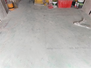 IMG_20200911_135550.jpg