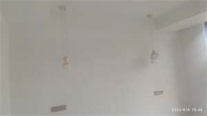 IMG_20200809_104650.jpg