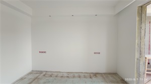 IMG_20200807_112411.jpg