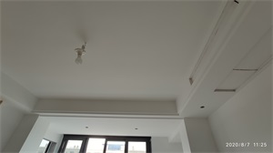 IMG_20200807_112548.jpg