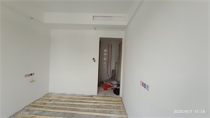 IMG_20200807_112912.jpg