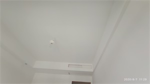 IMG_20200807_112916.jpg