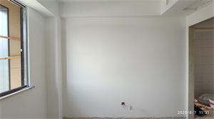 IMG_20200807_113110.jpg