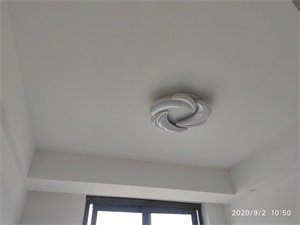 IMG_20200902_105021.jpg