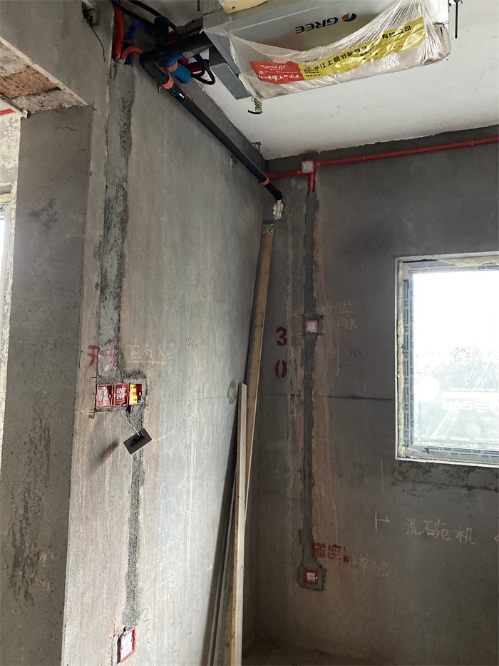 IMG_3781.JPG