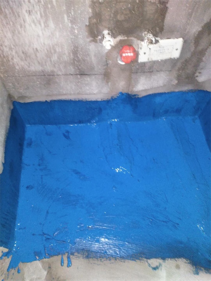 mmexport1599968269579.jpg