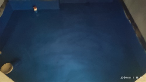IMG_20200811_151415.jpg