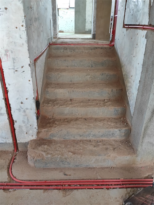 IMG_20200821_144444.jpg