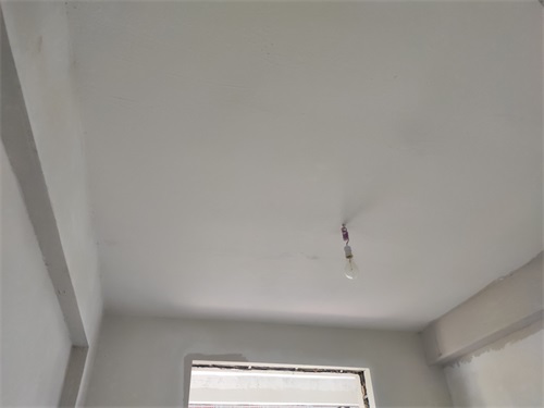 IMG_20200822_160125.jpg
