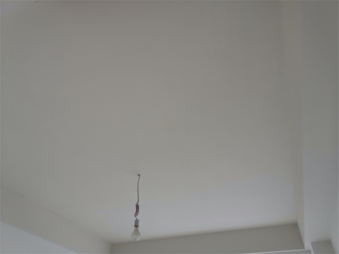 IMG_20201007_102804.jpg