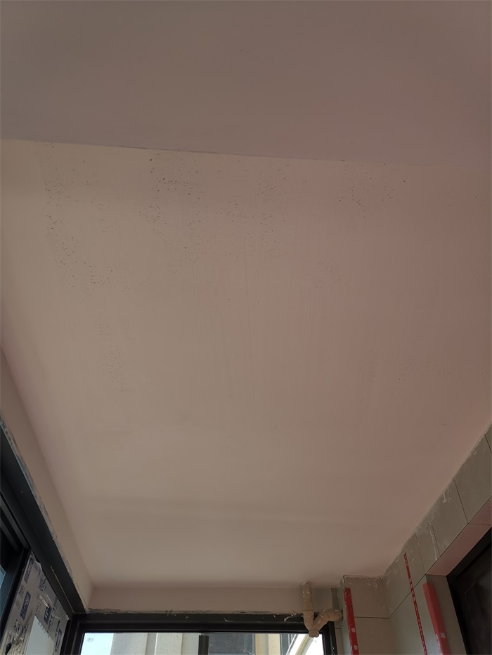 IMG_20201010_104437.jpg