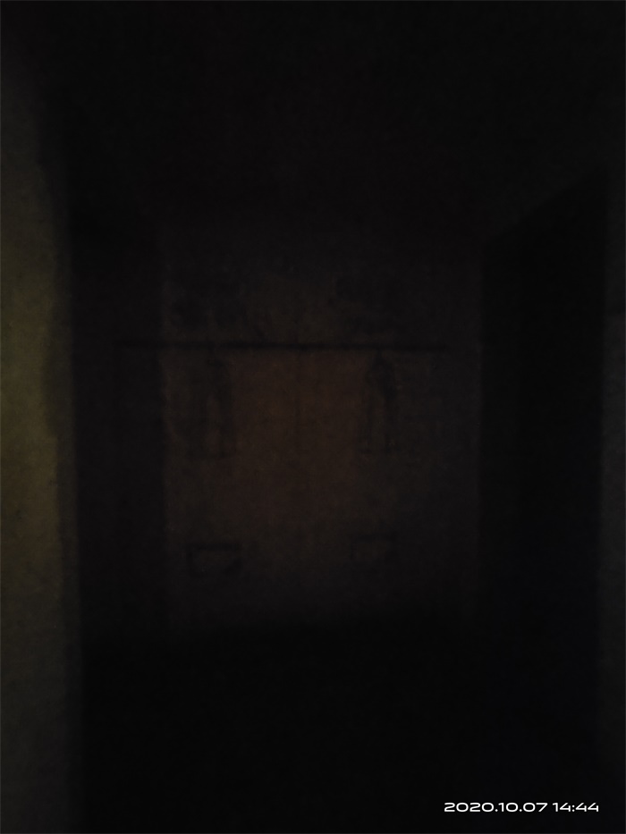 IMG_20201007_144442.jpg