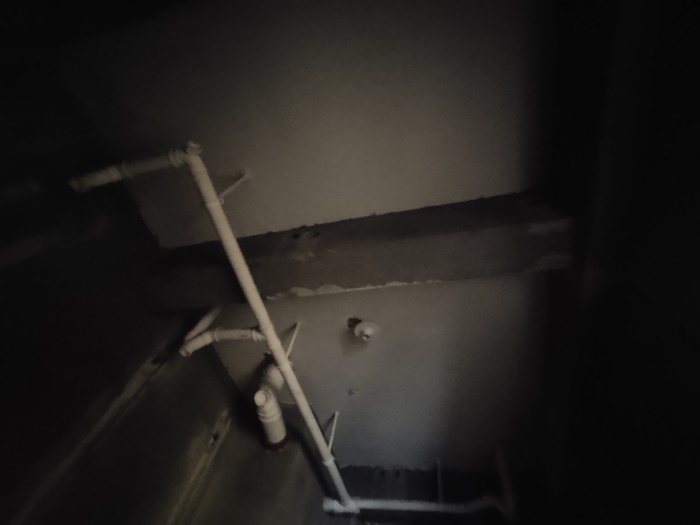 IMG_20201016_090714.jpg