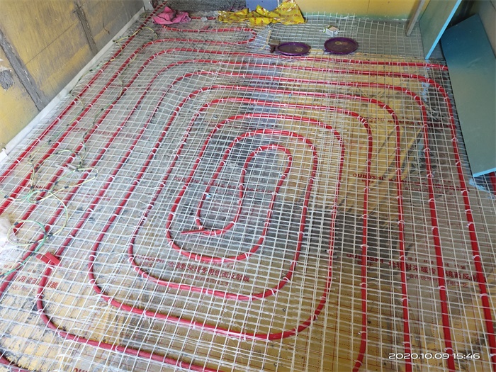 IMG_20201009_154625.jpg
