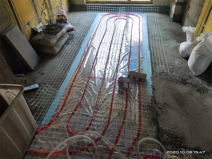 IMG_20201009_154753.jpg