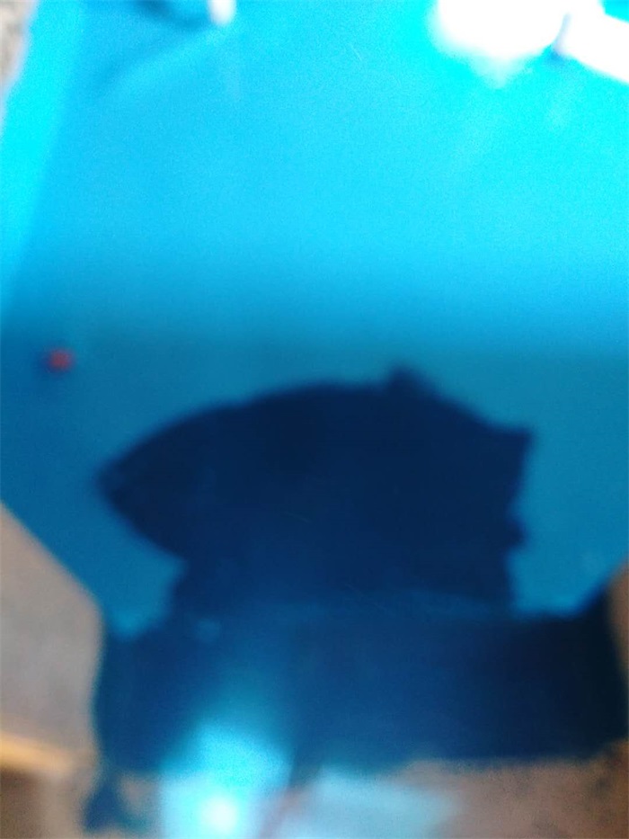 d4cf7d0cefaf38120d1d0551f285333.jpg