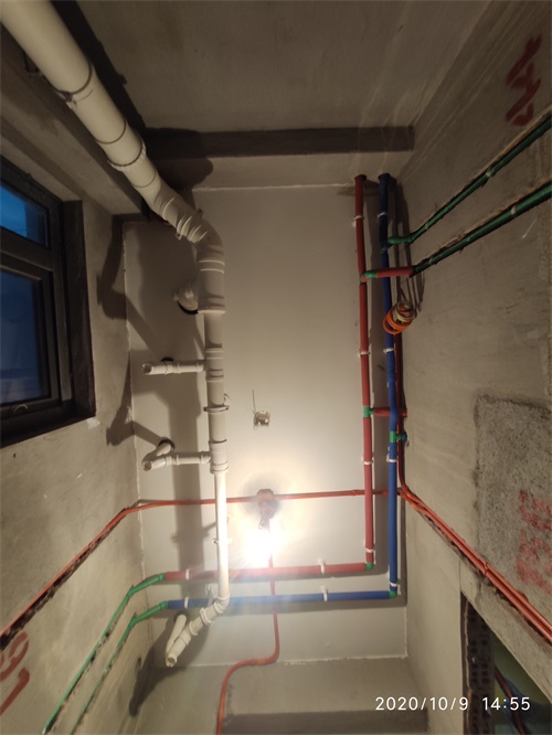 IMG_20201009_145520.jpg