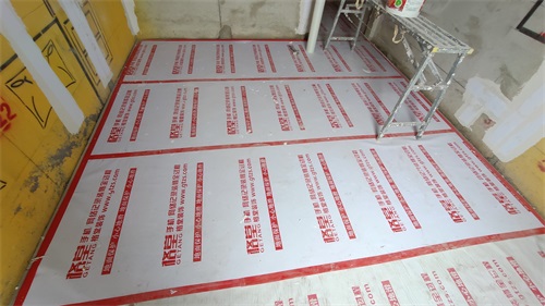 IMG_20201017_130011.jpg