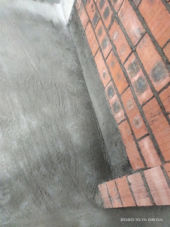 IMG_20201014_080416.jpg