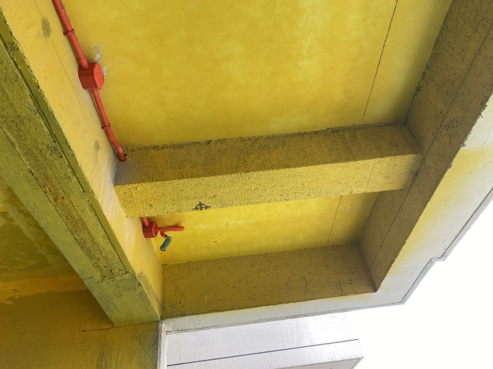 IMG_8605.JPG