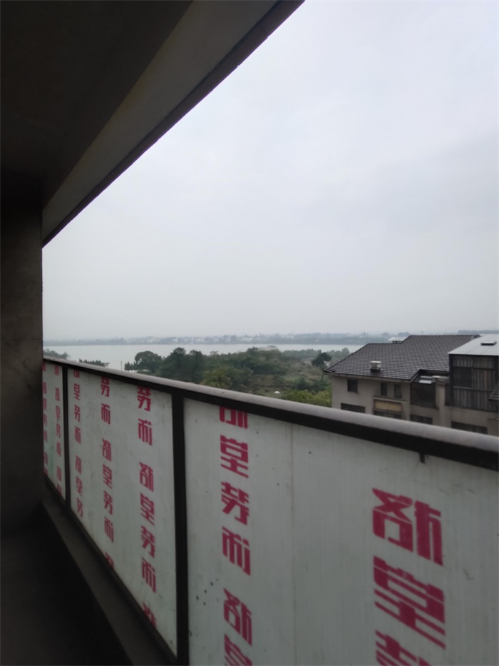 IMG_20201018_152954.jpg
