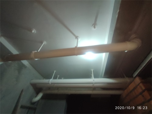 IMG_20201009_162310.jpg