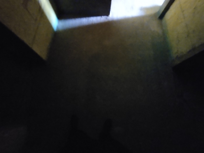 IMG_20201020_110429.jpg
