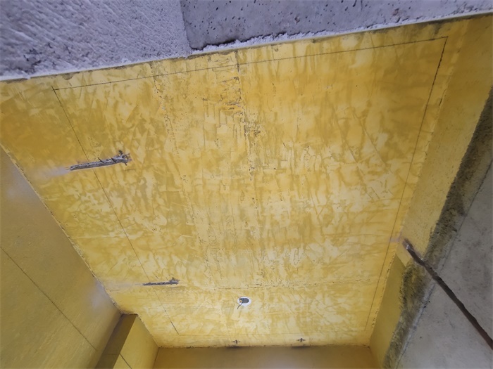 IMG_20201023_112120.jpg