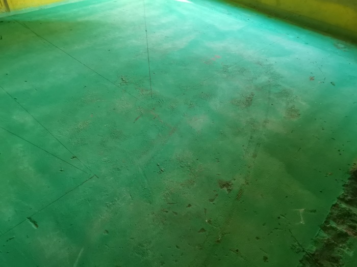 IMG_20201022_154809.jpg